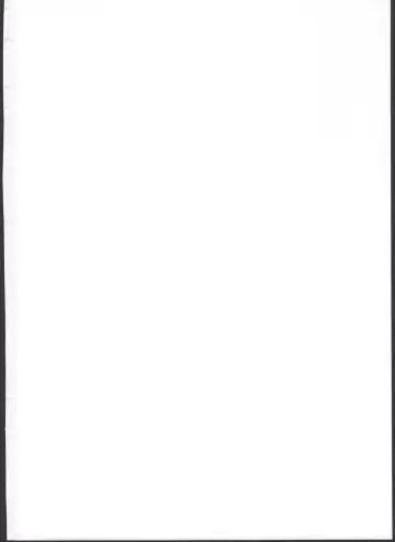 [Butajiman] Midara no Shiro Usagi Fhentai - Page 2