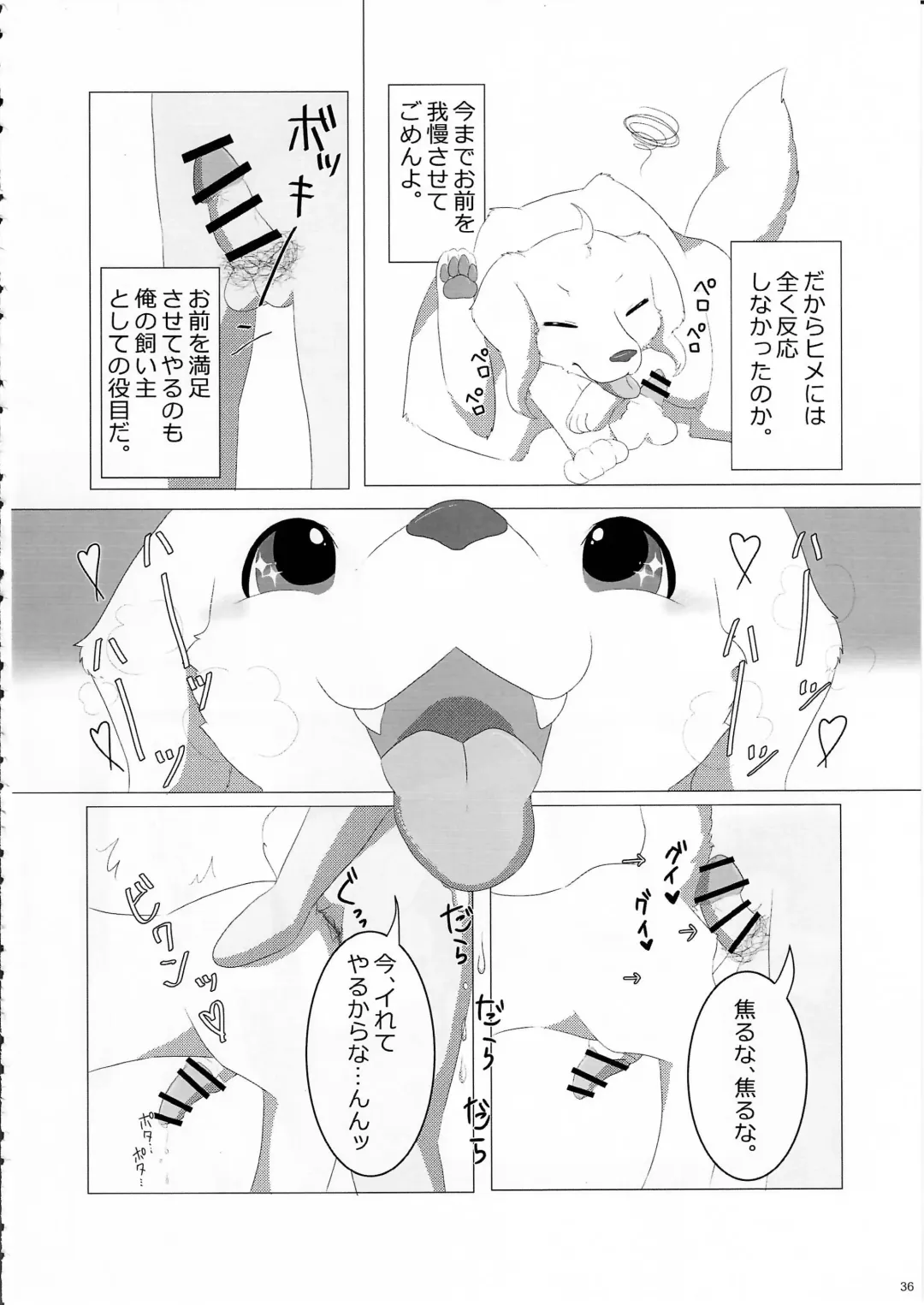 KTQ 11 Fhentai - Page 37