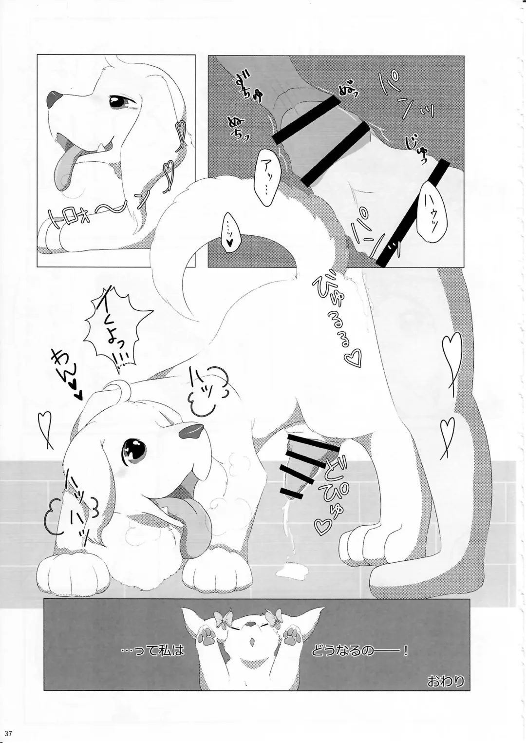 KTQ 11 Fhentai - Page 38