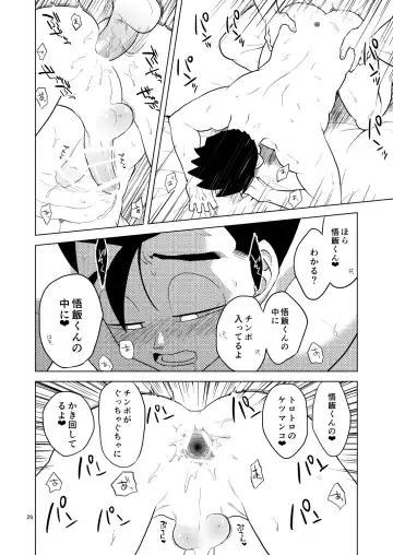 [Pain] Gohan o Taberu Hon Fhentai - Page 25