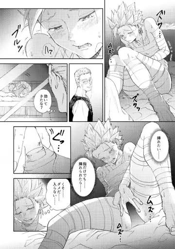 [Bov] Rental Kamyu-kun 5 day Fhentai - Page 13
