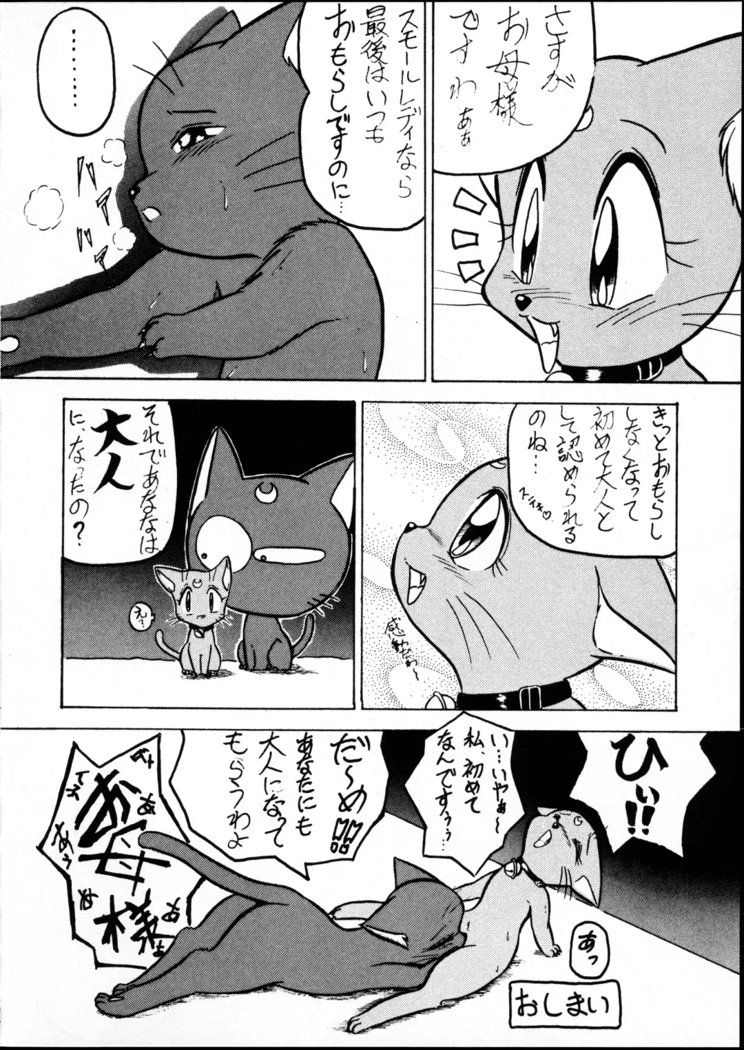 [Enneko] Echinococcus 5 Fhentai - Page 41