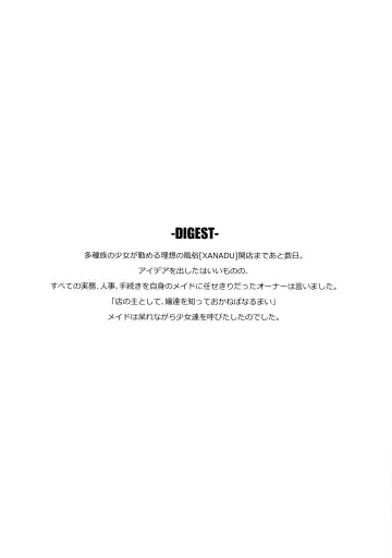 [Satetsu] XANADU Fhentai - Page 3