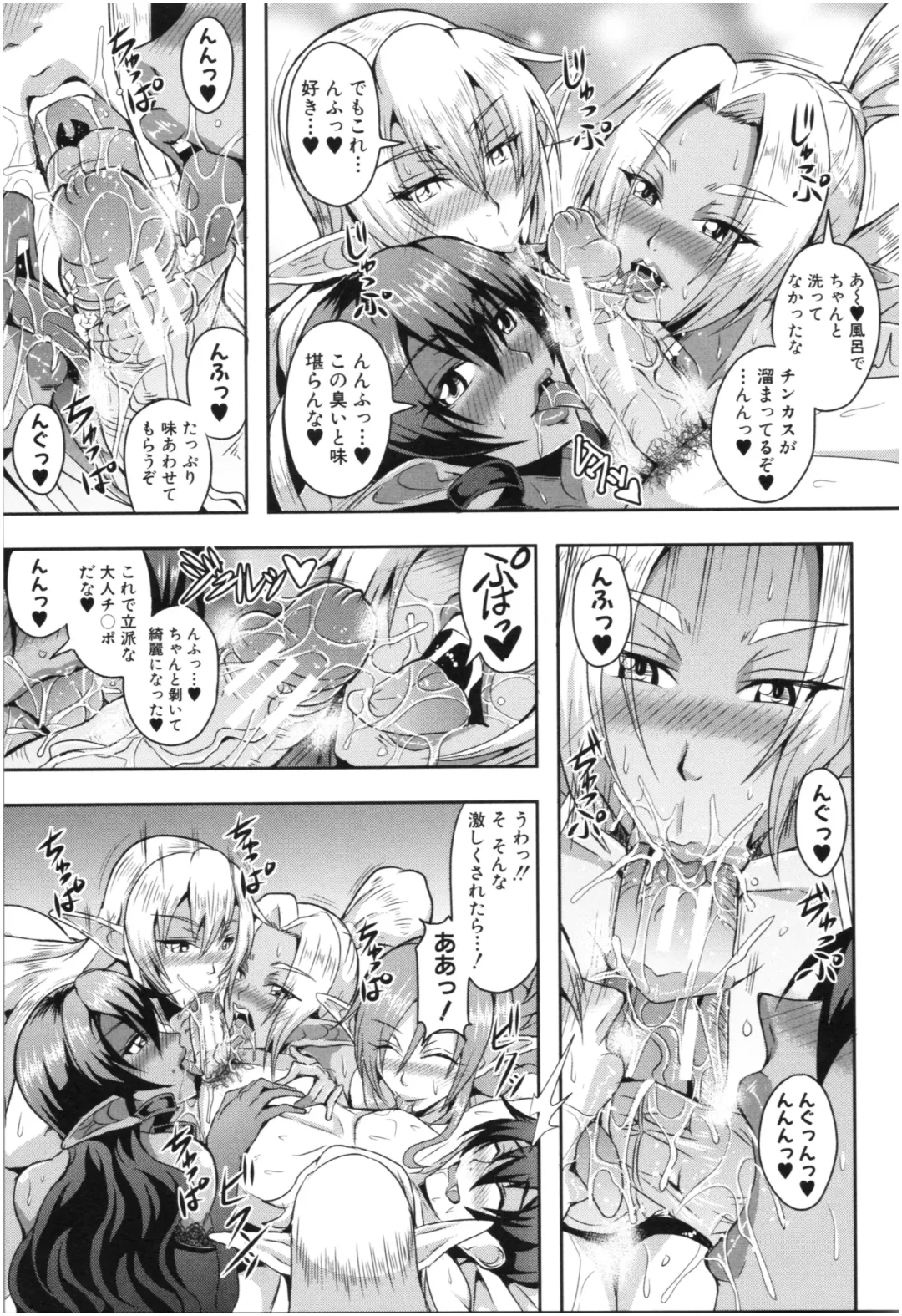 [Mifune Seijirou] Elf Harem Monogatari - Elf Harem Story Fhentai - Page 14