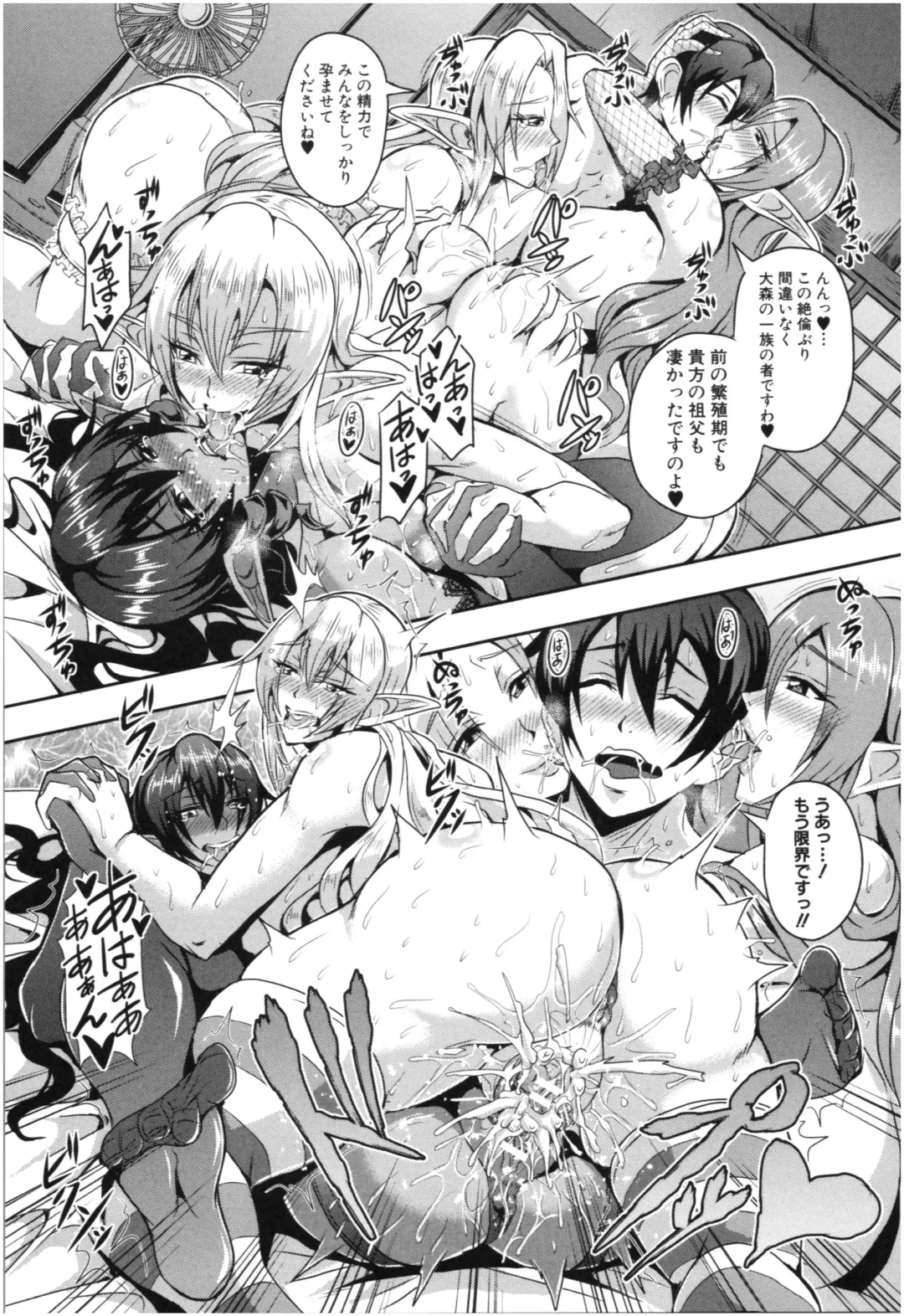 [Mifune Seijirou] Elf Harem Monogatari - Elf Harem Story Fhentai - Page 28