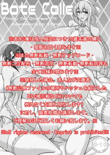 [Tetsubirei] Bote Colle ~Ninpu Na One-san Ni Kakomareta Itiniti~ Fhentai - Page 2