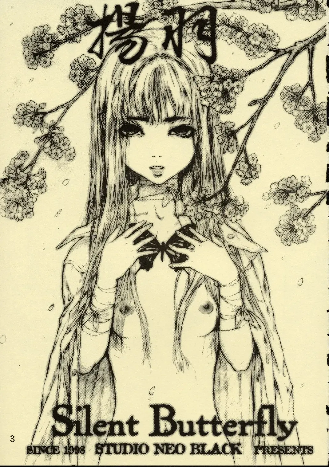 [Neo Black] Silent Butterfly Kaiteiban Fhentai - Page 2