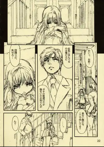 [Neo Black] Silent Butterfly Kaiteiban Fhentai - Page 21