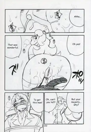 [Yukiyanagi] Yukiyanagi no Hon Vol. 4 Double Princesses (decensored) Fhentai - Page 21