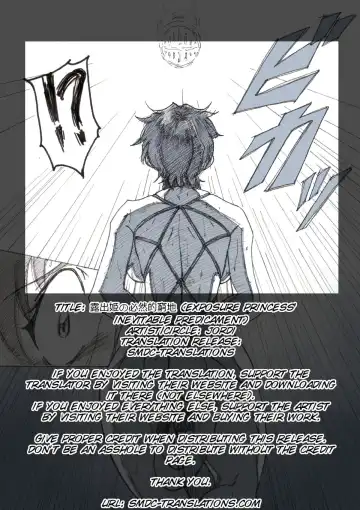 [Jordi] Roshutsu Hime no Hitsuzenteki Kyuuchi - Fhentai