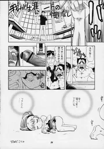 Vitamin-B5 1/4 Ruri Ruri Naisho no Maid Nikki Fhentai - Page 33