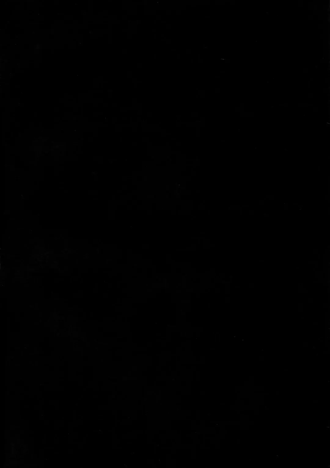 [Nana Shinshi] Haha Oni Kantsuu Fhentai - Page 4