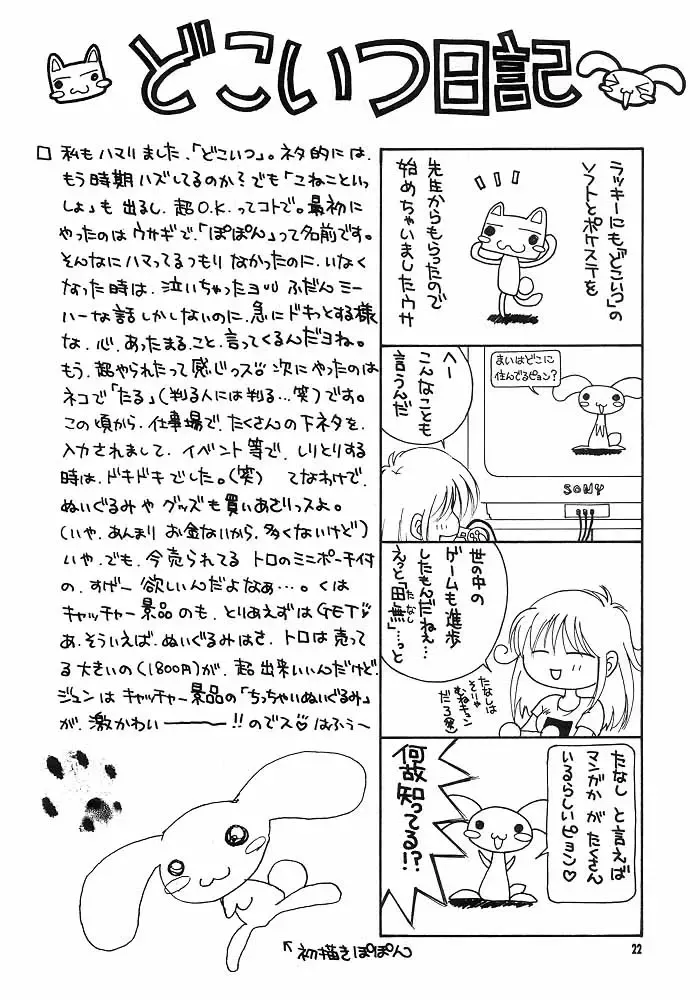 [Hyoujun Mai - Koto] DoA Fhentai - Page 21