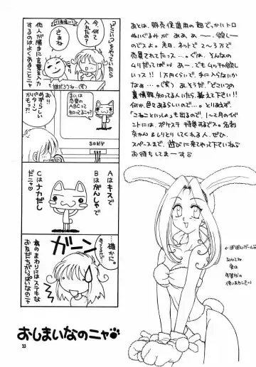 [Hyoujun Mai - Koto] DoA Fhentai - Page 22