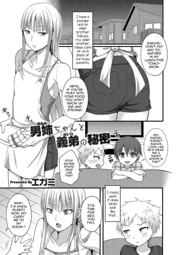 Read [Egami] Onee-chan to Otouto no Himitsu - Fhentai