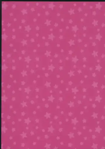 [Moyasibasto] Remilia ga Taihen na Me ni Aimasu Fhentai - Page 18