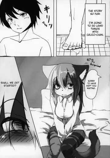 [Kyabetsuka] Asobi Neko | Frisky Cat Fhentai - Page 2