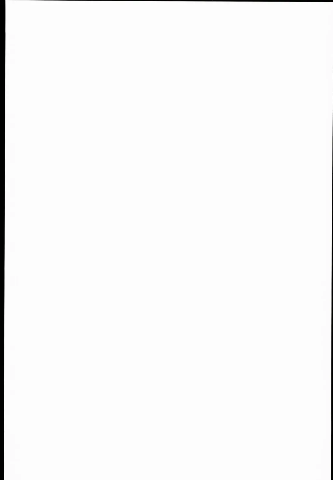 [Cyocyo] Isekai Princess Fhentai - Page 27