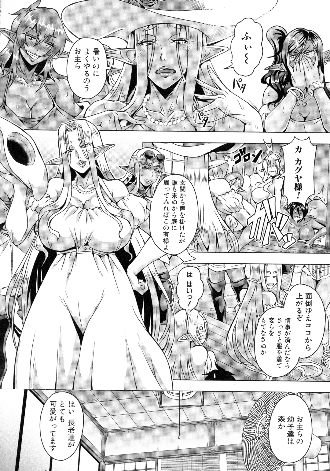 [Mifune Seijirou] Elf Harem Monogatari - Elf Harem Story Fhentai - Page 164