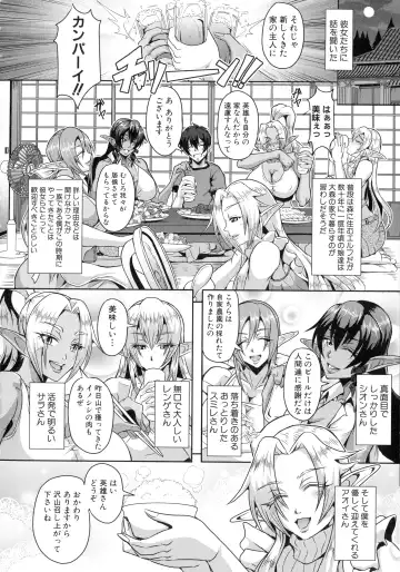 [Mifune Seijirou] Elf Harem Monogatari - Elf Harem Story Fhentai - Page 12