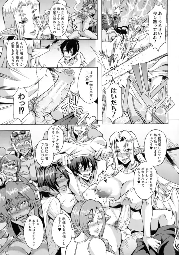 [Mifune Seijirou] Elf Harem Monogatari - Elf Harem Story Fhentai - Page 167