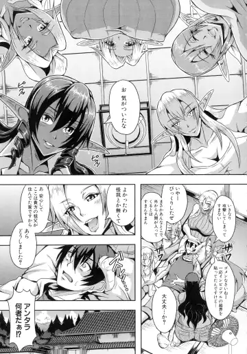 [Mifune Seijirou] Elf Harem Monogatari - Elf Harem Story Fhentai - Page 9