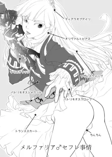 [Psohatten] Melfaria SeFri Jijou Fhentai - Page 3