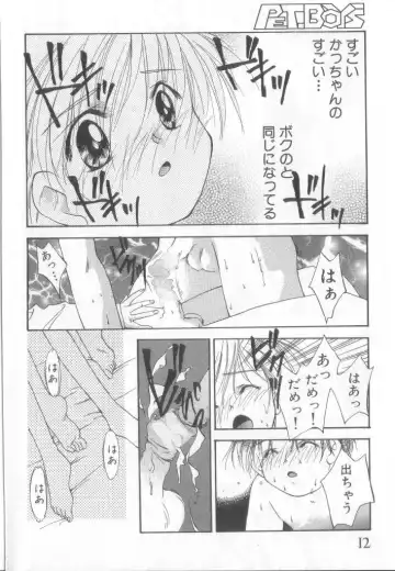 Pet-boy's Vol. 1 Fhentai - Page 13