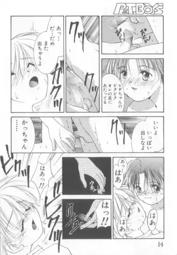 Pet-boy's Vol. 1 Fhentai - Page 15