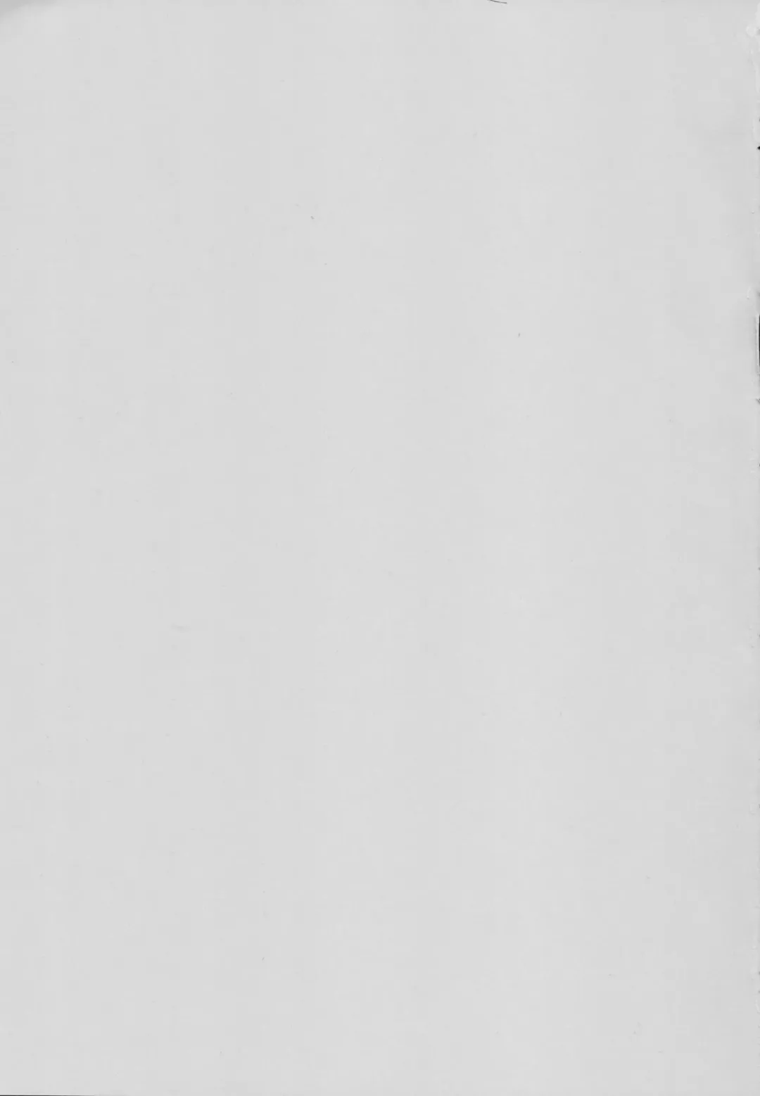 [Gyonikun] Despite being inside of the dungeon, the Goddess and Supporter still got creampied Fhentai - Page 3