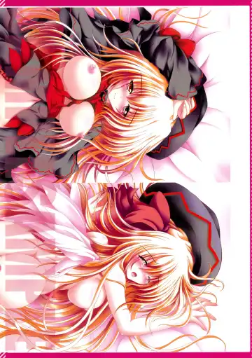 [Kazami Rei] Moe Touhou Gensoukyou - Touhou Shuukokusei Phantasm Fhentai - Page 14