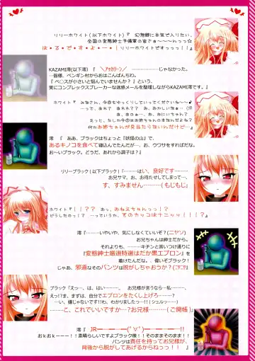 [Kazami Rei] Moe Touhou Gensoukyou - Touhou Shuukokusei Phantasm Fhentai - Page 3