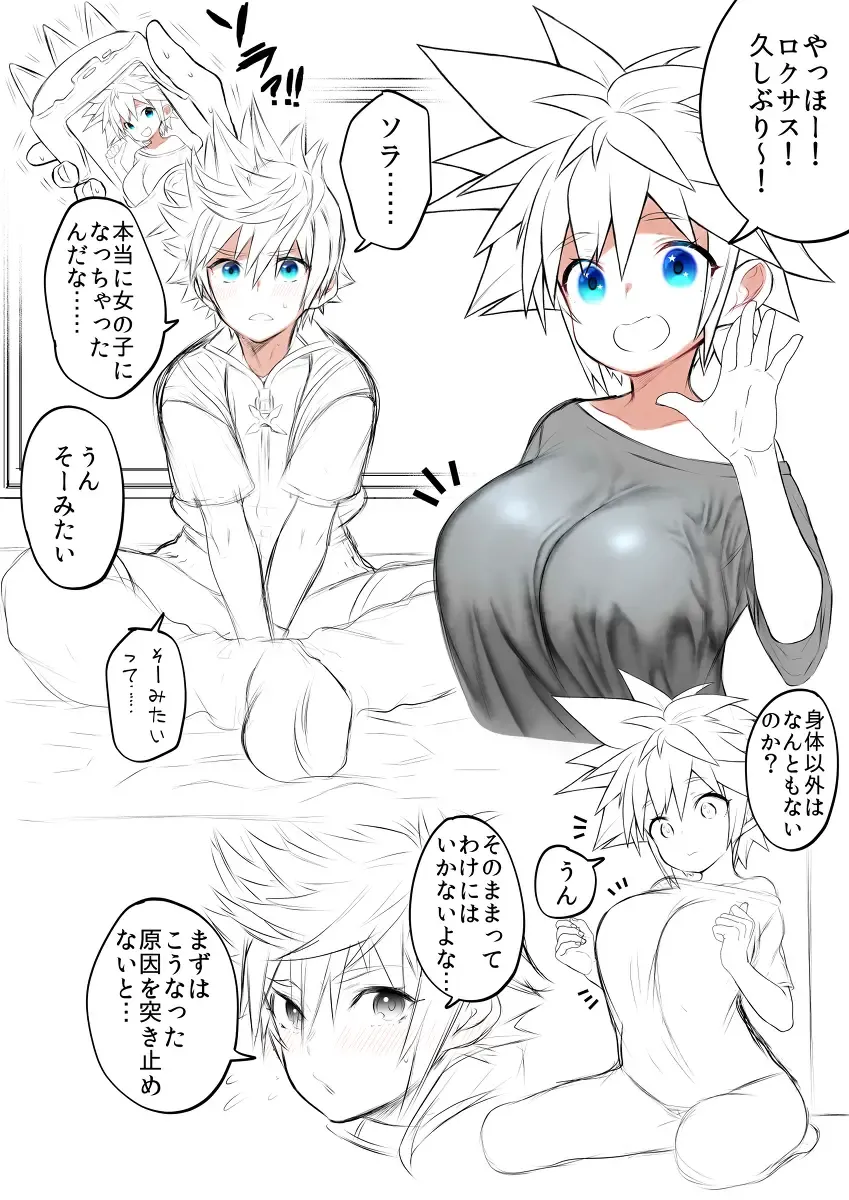 [Ojigi] KH Sora TS matome  (kingdom hearts] Fhentai - Page 22