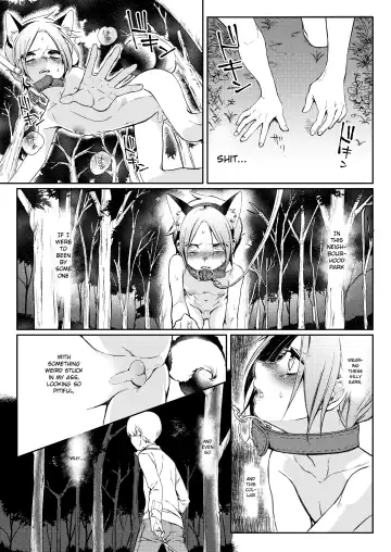 [Hitsuka No Tsukimiko] Taihai Shikou | Decadent Tastes Fhentai - Page 12