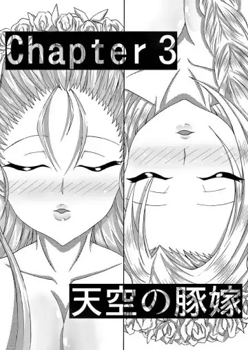 [Bokujou Nushi K] Tenkuu no Bitch Tsuma Fhentai - Page 25
