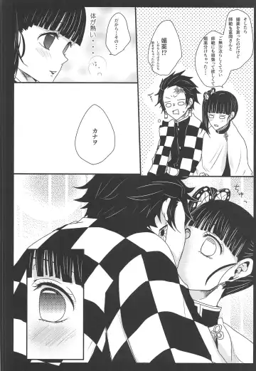 [Michiru] Ran Fhentai - Page 11