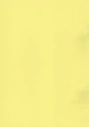 [Yoyoyoyou] Osanpo Biyori Fhentai - Page 3