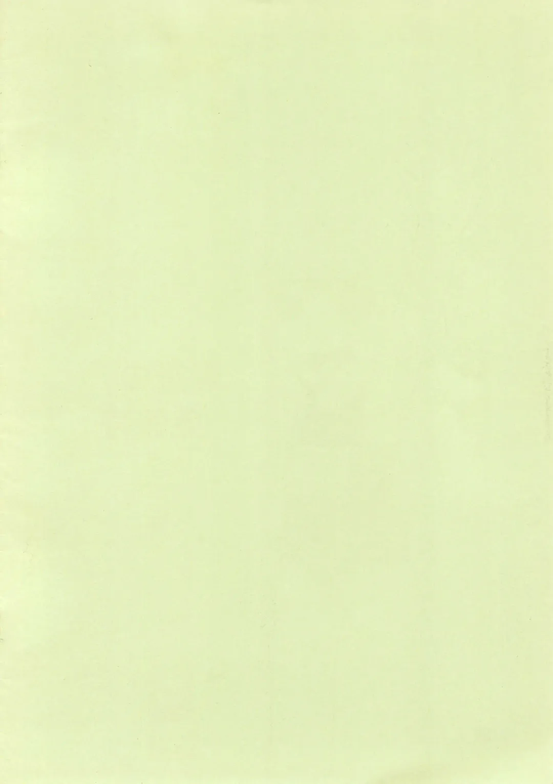 [Yoyoyoyou] Saigo no Menzaifu Fhentai - Page 2