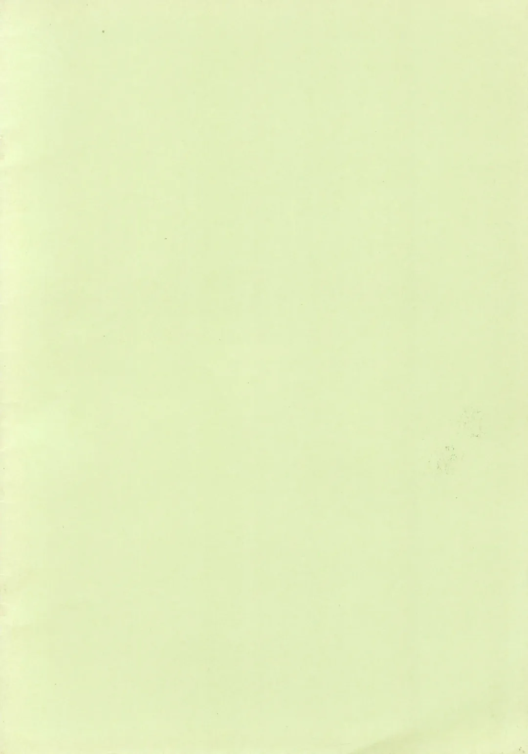 [Yoyoyoyou] Saigo no Menzaifu Fhentai - Page 20