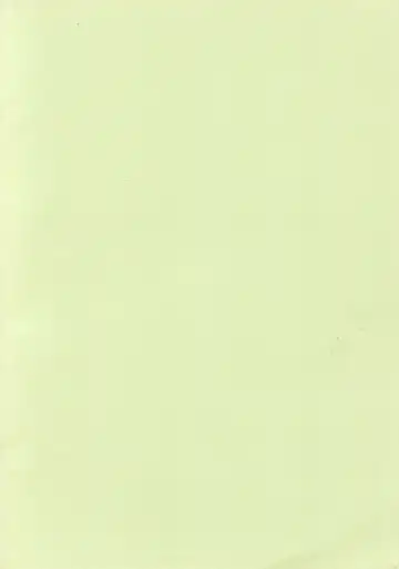 [Yoyoyoyou] Saigo no Menzaifu Fhentai - Page 20