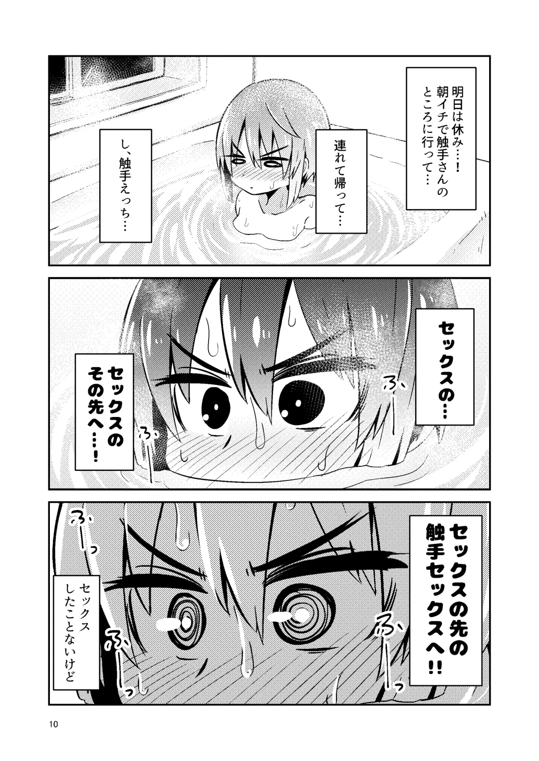 [Suzunomoku] Shokushu Uri no Fiera Fhentai - Page 10