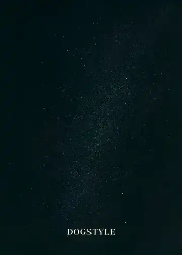 [Menea The Dog] LipSync Fhentai - Page 45