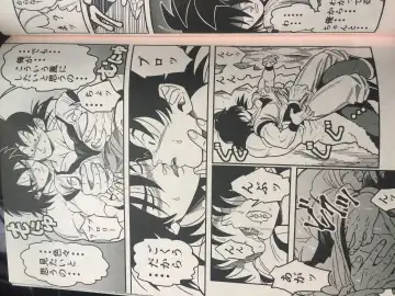 Broly Fhentai - Page 12