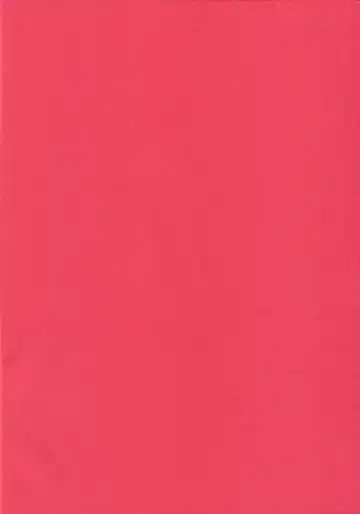 [Air] Sono Wonna Fushidara ni Tsuki Fhentai - Page 2