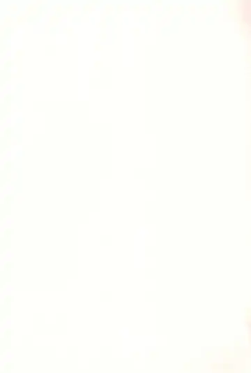 [Ponsuke] Loli to Asobo Fhentai - Page 183