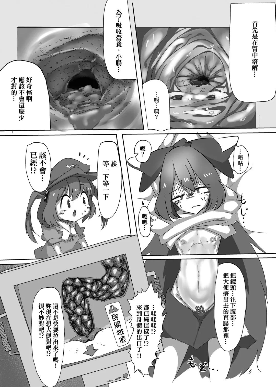Touhou Scatology Goudoushi "Benjo!!!!!!!!" Fhentai - Page 11