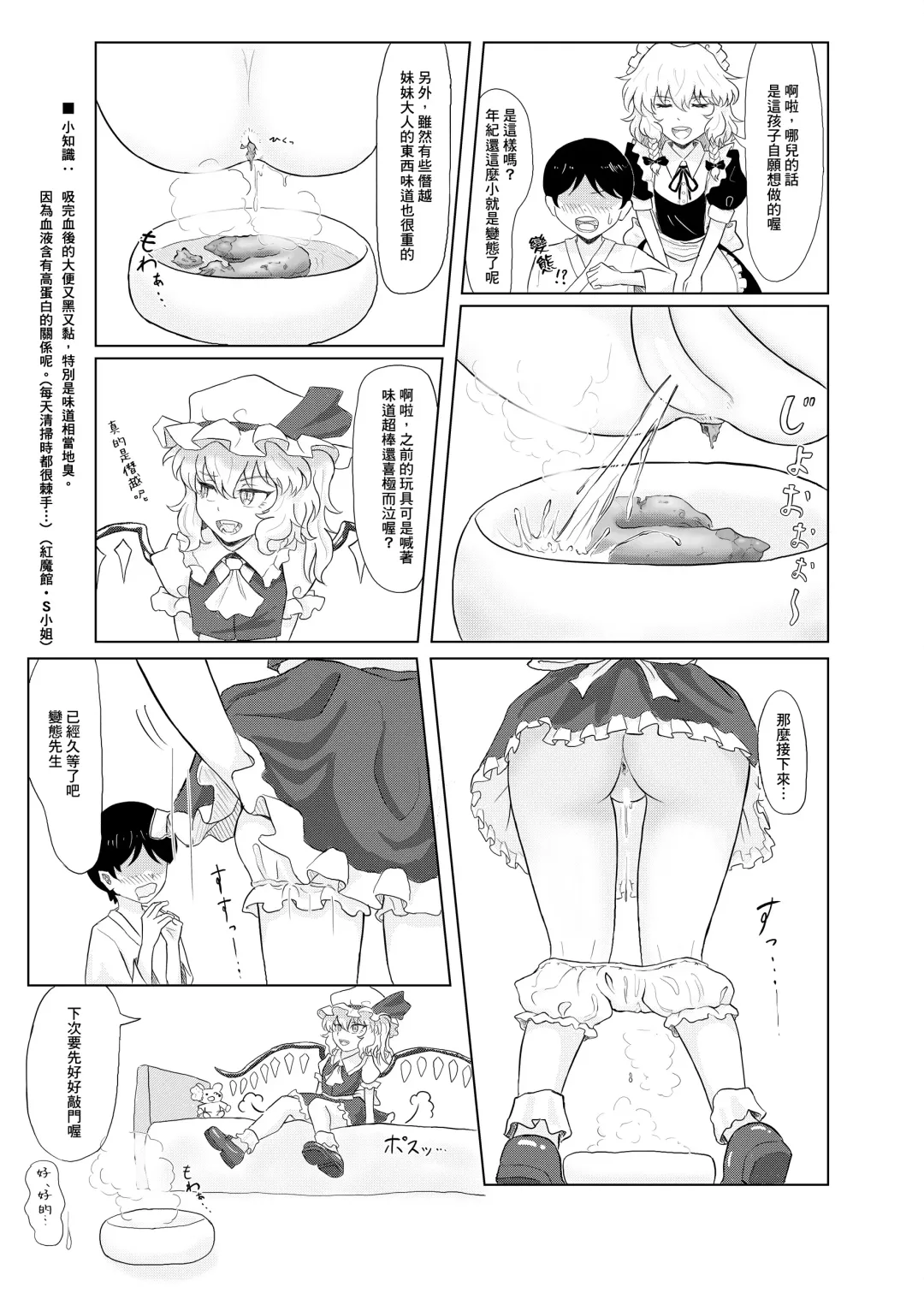 Touhou Scatology Goudoushi "Benjo!!!!!!!!" Fhentai - Page 27