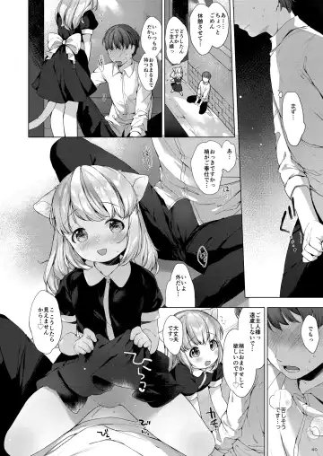 [Mutou Mato] My Little Maid Soushuuhen Fhentai - Page 40