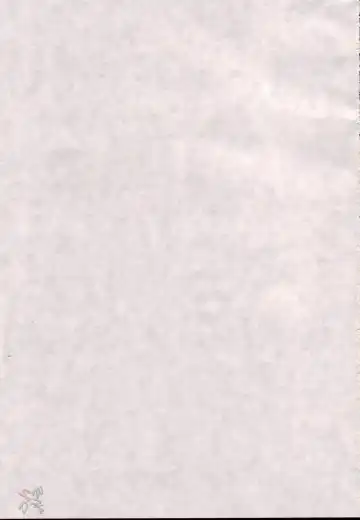 [Gust-san] Iro-Iro-Iro Fhentai - Page 2