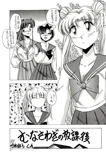 [Kawahara Shin - Masuyama Kei] Tsuki no Ura no Labyrinth Fhentai - Page 25